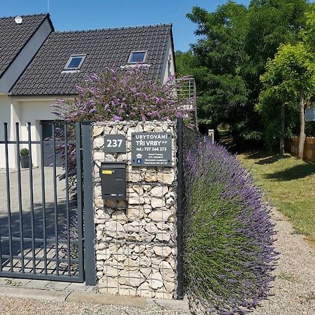 Ubytování Tři Vrby Pasohlávky Esterno foto