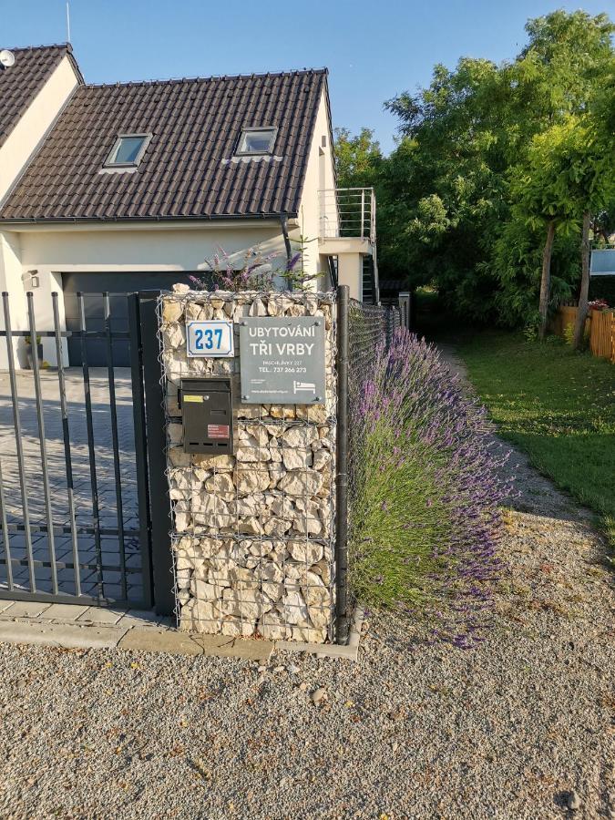 Ubytování Tři Vrby Pasohlávky Esterno foto